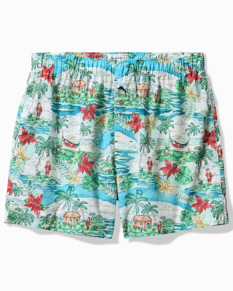 Woven Tropical Print Boxers - Big Sky Blue
