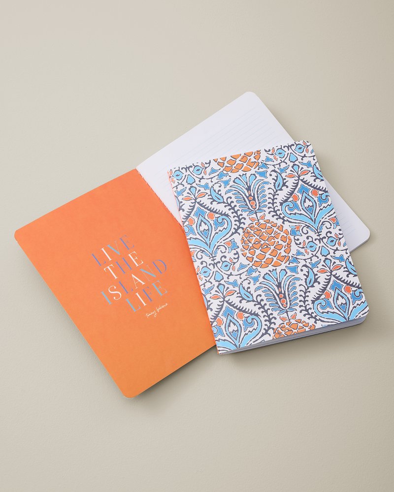 Noble Pineapple Journal - Pack of 2 - Multicolor