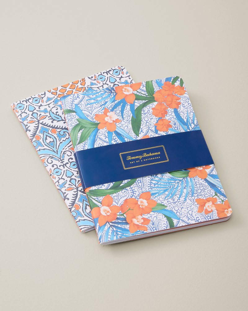 Noble Pineapple Journal - Pack of 2 - Multicolor