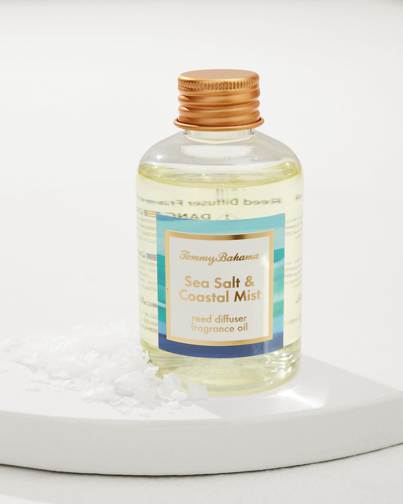 Sea Salt and Coastal Mist Reed Diffuser Oil Refill - Multicolor