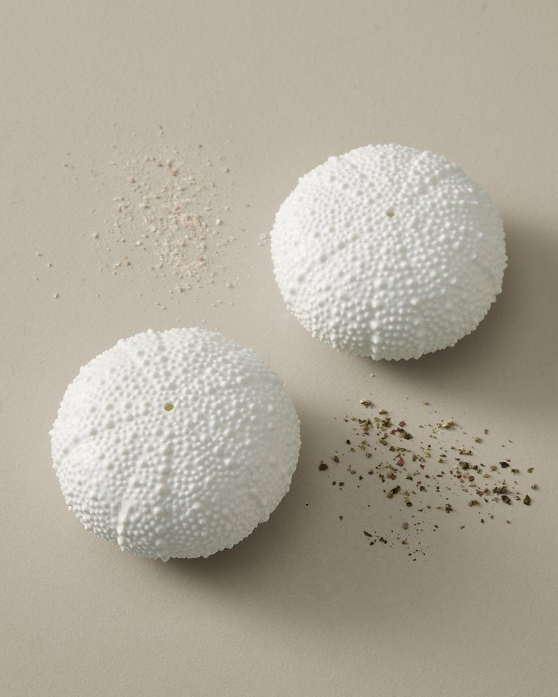 Sea Urchin Salt &amp; Pepper Set - White