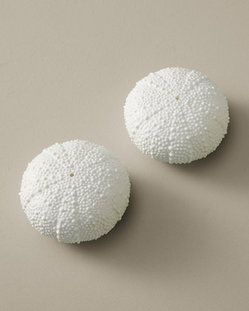 Sea Urchin Salt &amp; Pepper Set - White