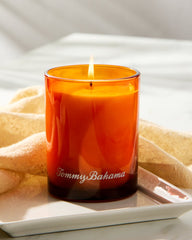 Maui Mango Boxed Poured 7.5-oz. Candle - Maui Mango